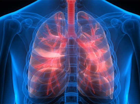 How To Get Multispeciality Care In Chhindwara?